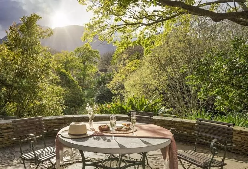 Fotos del hotel Vineyard:  18