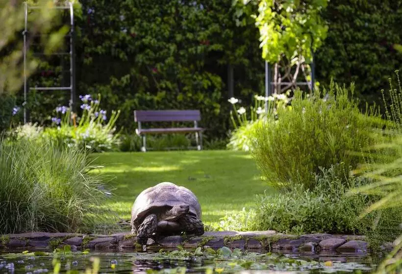 Fotos del hotel Vineyard:  5