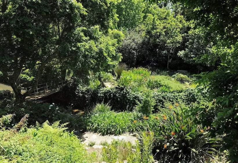 Fotos del hotel Vineyard:  13