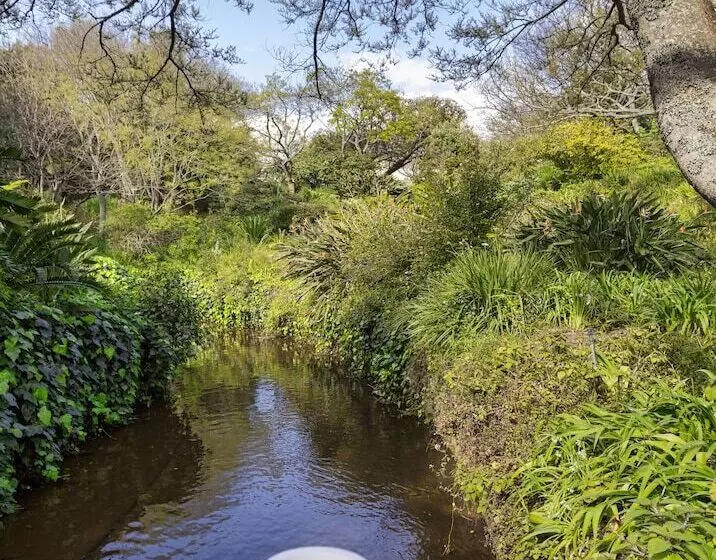 Fotos del hotel Vineyard:  15