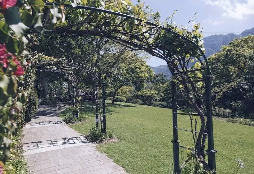 Fotos del hotel Vineyard:  20