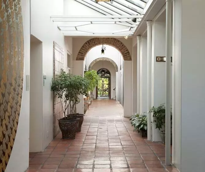 Fotos del hotel Vineyard:  24