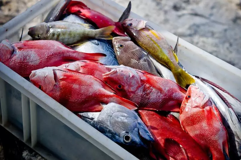 Fotos del hotel Indian Ocean Lodge:  6