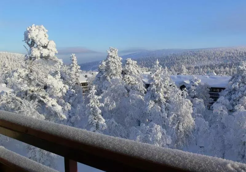 Fotos del hotel Lapland Hotels Riekonlinna:  13