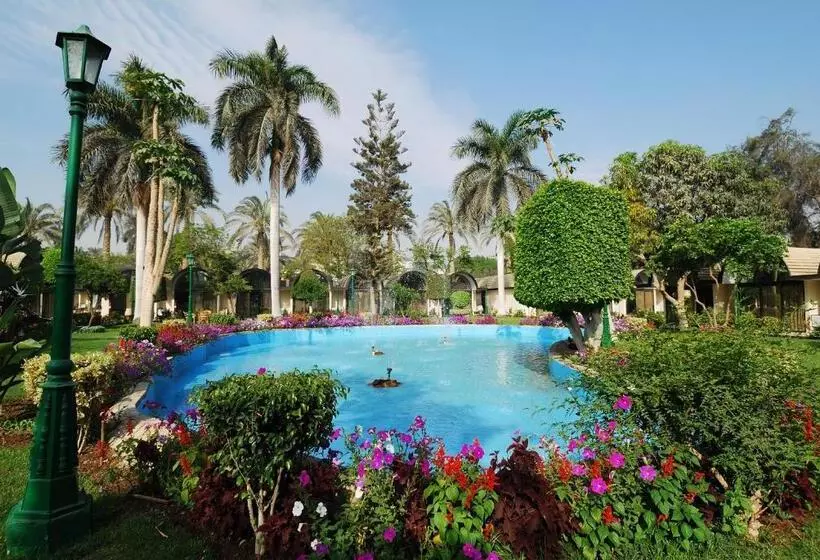 Fotos del hotel The Oasis Hotel Pyramids:  2