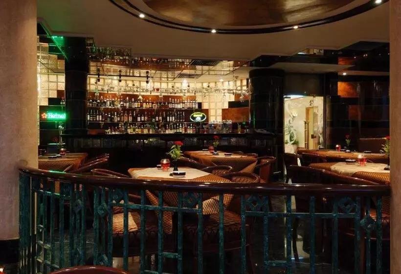 Fotos del hotel The Oasis Hotel Pyramids:  5