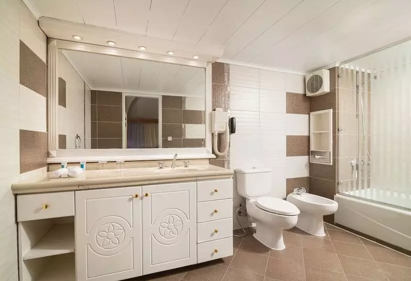 Fotos del hotel The Oasis Hotel Pyramids:  8