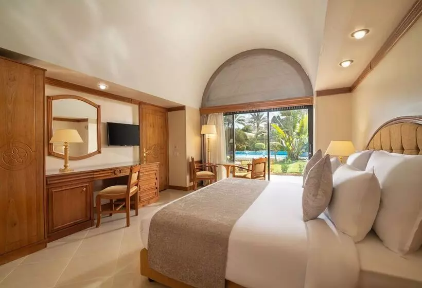 Fotos del hotel The Oasis Hotel Pyramids:  9