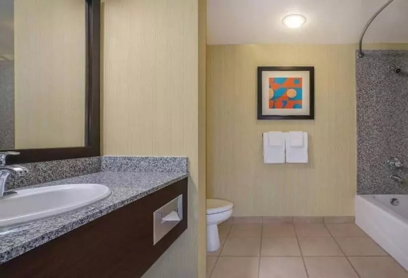 Fotos del hotel Circus Circus Hotel, Casino & Theme Park:  10