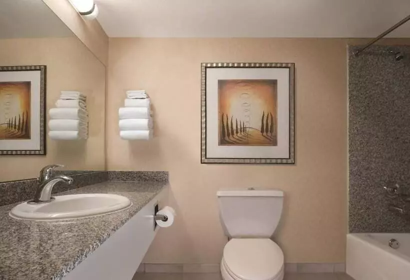 Fotos del hotel Circus Circus Hotel, Casino & Theme Park:  5