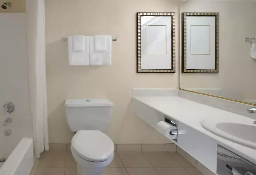 Fotos del hotel Circus Circus Hotel, Casino & Theme Park:  12