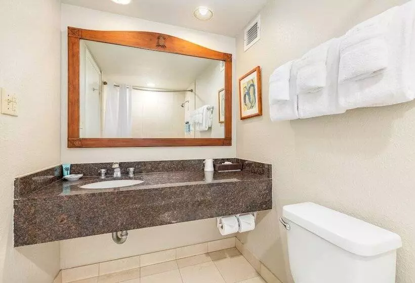 Fotos del hotel Luana Waikiki  & Suites:  14