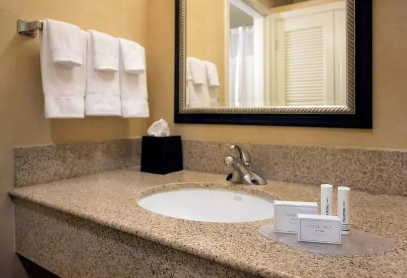 Fotos del hotel Courtyard By Marriott Phoenix Airport:  7