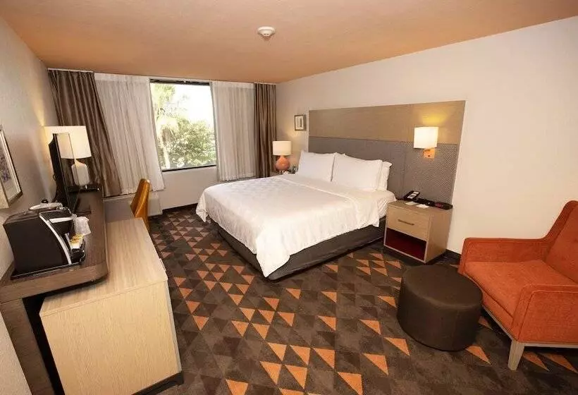Fotos del hotel Holiday Inn Houston Hobby Airport, An Ihg:  18