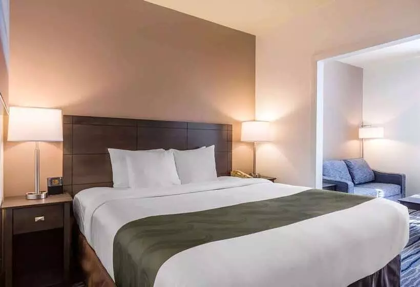 Fotos del hotel Quality Suites San Diego Seaworld Area:  20