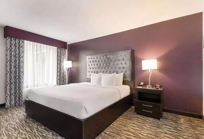 Fotos del hotel Clarion Inn & Suites Across From Universal Orlando Resort:  12