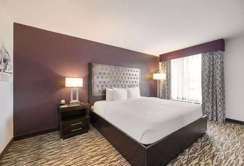 Fotos del hotel Clarion Inn & Suites Across From Universal Orlando Resort:  14