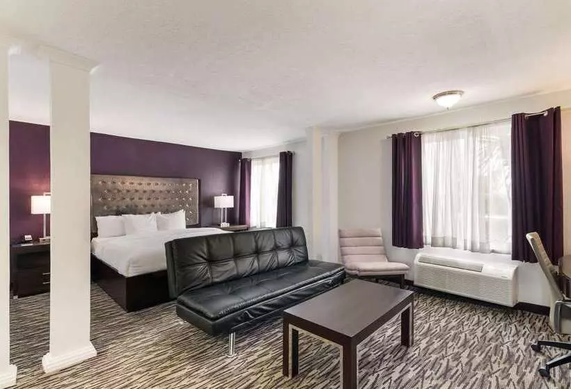 Fotos del hotel Clarion Inn & Suites Across From Universal Orlando Resort:  21