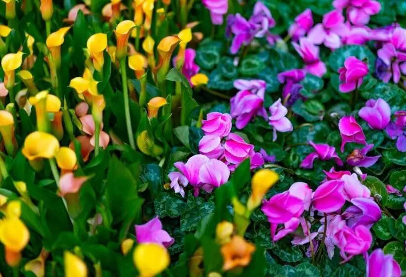 Fotos del hotel Gold Coast Hotel And Casino:  9