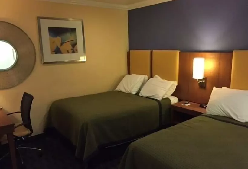 Fotos del hotel Days Inn By Wyndham San Francisco  Lombard:  7