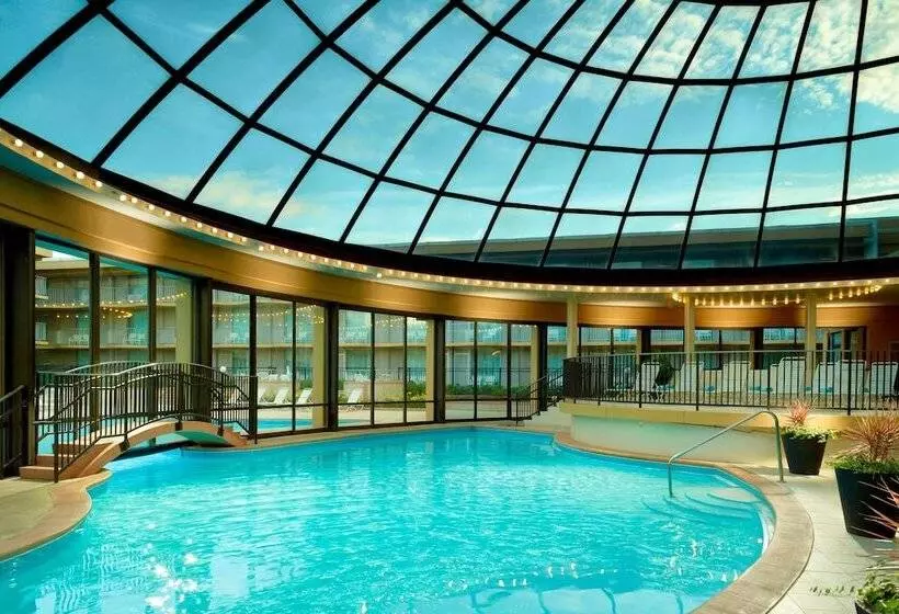 Fotos del hotel Marriott Chicago O’hare:  3