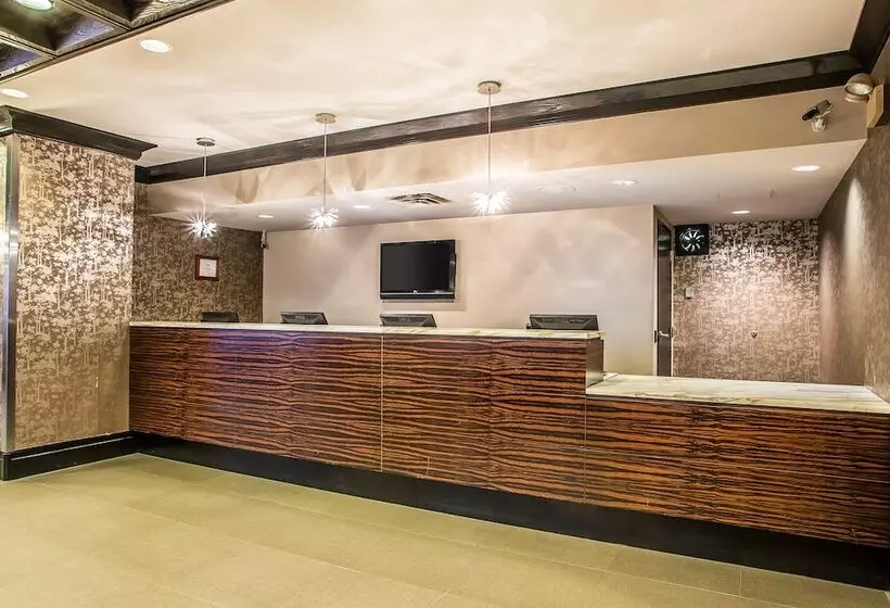 Fotos del hotel Inn Of Chicago:  3