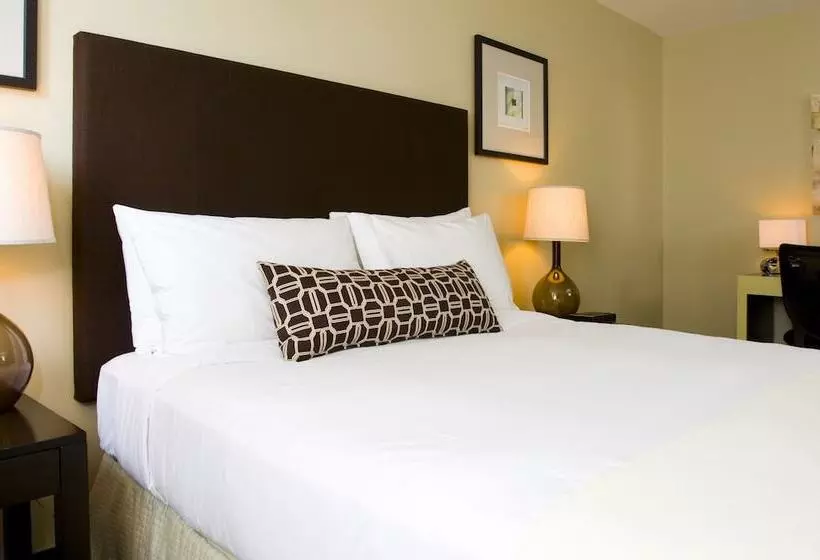 Fotos del hotel Inn Of Chicago:  8