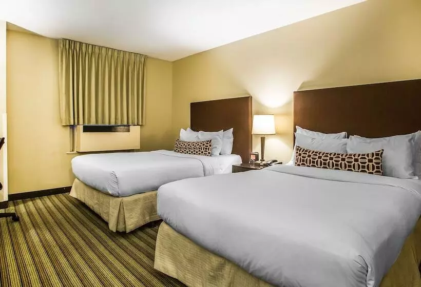 Fotos del hotel Inn Of Chicago:  10