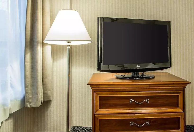 Fotos del hotel Inn Of Chicago:  11