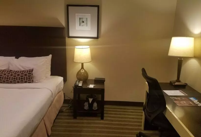 Fotos del hotel Inn Of Chicago:  5