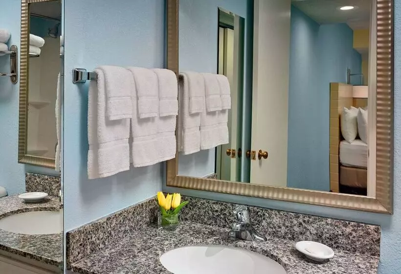 Fotos del hotel Sonesta Es Suites Atlanta - Perimeter Center North:  11