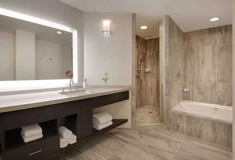 Fotos del hotel The Westin Dallas Park Central:  8