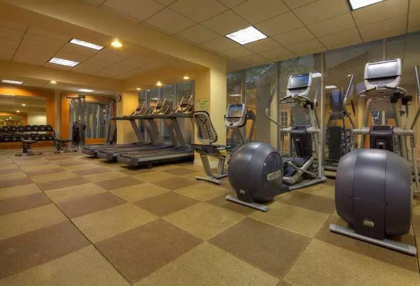 Fotos del hotel Hilton Houston Westchase:  2