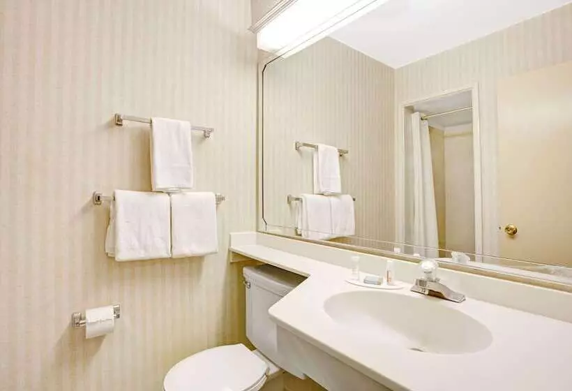 Fotos del hotel Travelodge By Wyndham Seattle By The Space Needle:  10