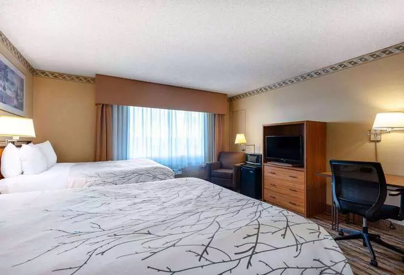 Fotos del hotel Travelodge By Wyndham Seattle By The Space Needle:  21