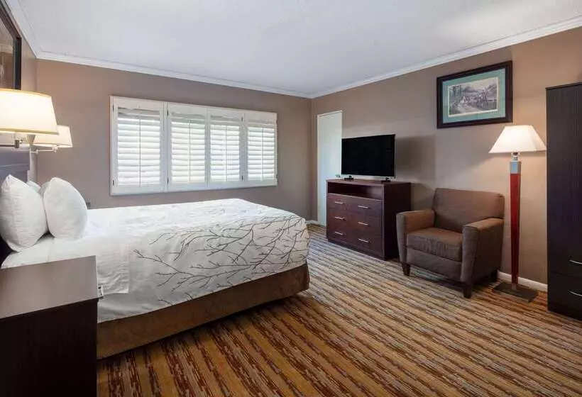 Fotos del hotel Travelodge By Wyndham Seattle By The Space Needle:  20