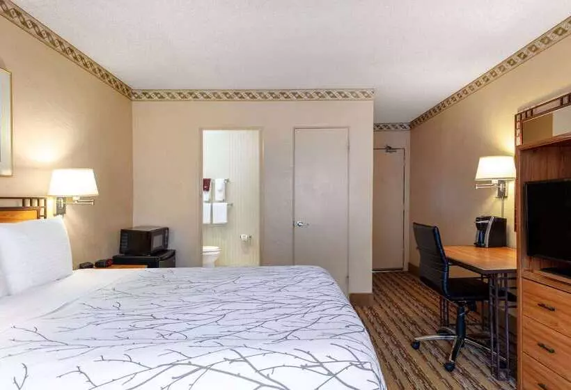 Fotos del hotel Travelodge By Wyndham Seattle By The Space Needle:  19