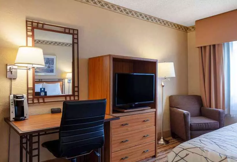 Fotos del hotel Travelodge By Wyndham Seattle By The Space Needle:  16