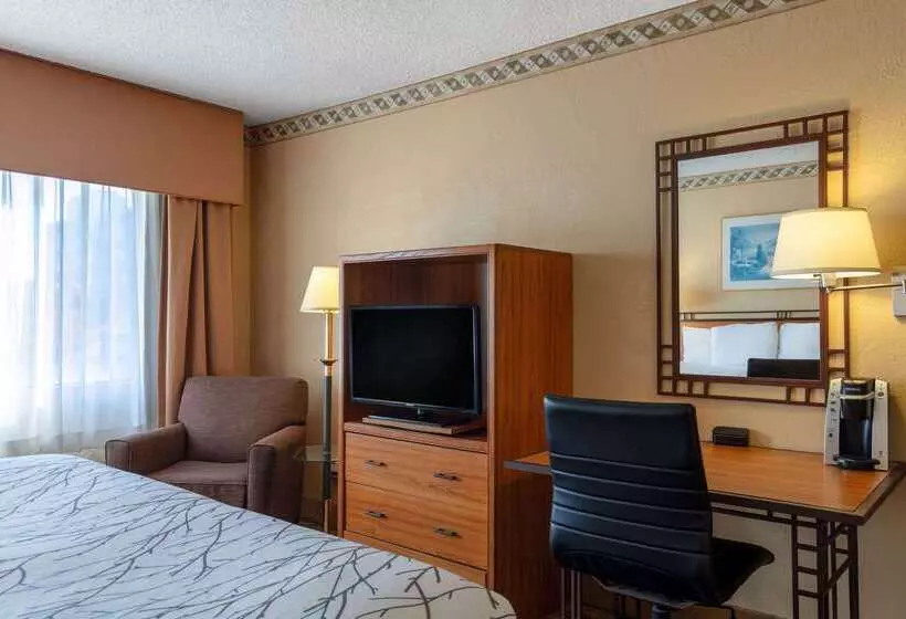 Fotos del hotel Travelodge By Wyndham Seattle By The Space Needle:  22