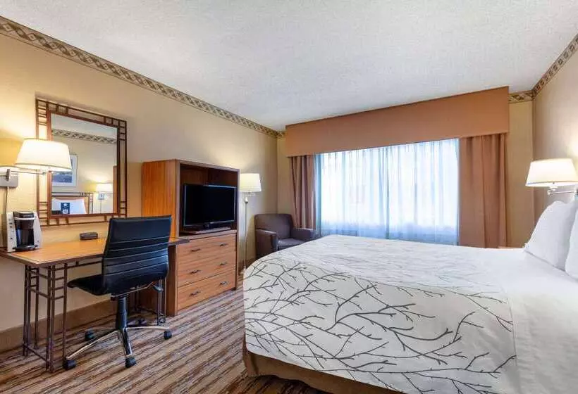 Fotos del hotel Travelodge By Wyndham Seattle By The Space Needle:  14