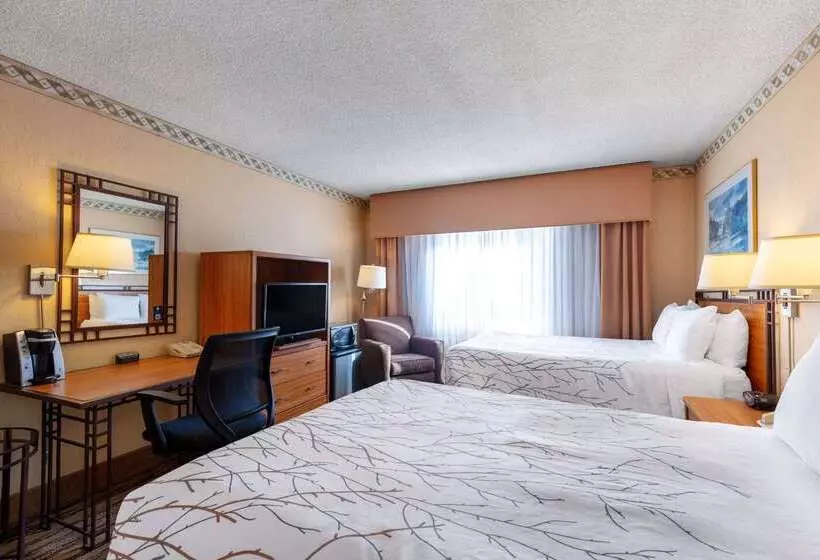 Fotos del hotel Travelodge By Wyndham Seattle By The Space Needle:  23