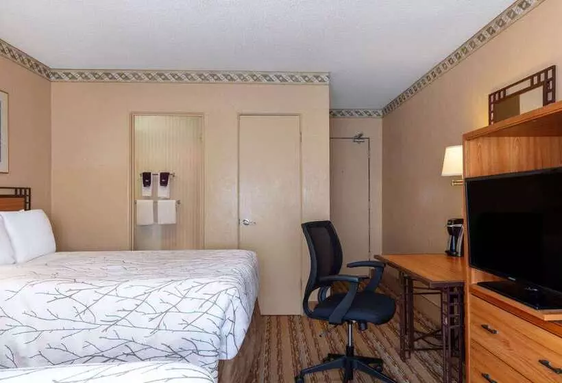 Fotos del hotel Travelodge By Wyndham Seattle By The Space Needle:  13