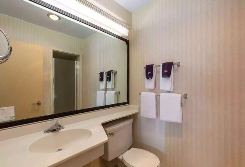 Fotos del hotel Travelodge By Wyndham Seattle By The Space Needle:  12