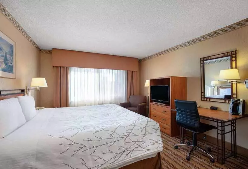 Fotos del hotel Travelodge By Wyndham Seattle By The Space Needle:  24