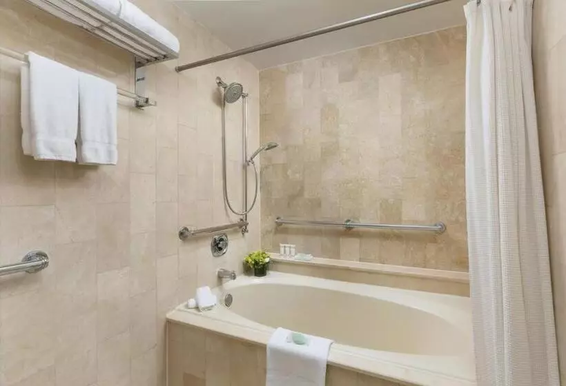 Fotos del hotel Michelangelo:  10