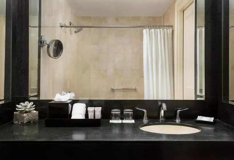 Fotos del hotel Michelangelo:  7