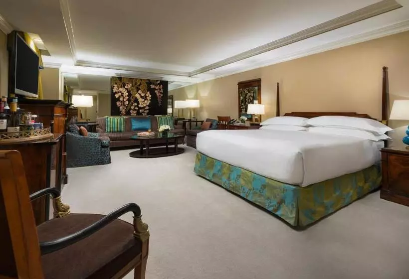 Fotos del hotel Michelangelo:  15