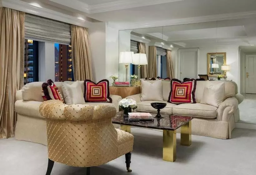 Fotos del hotel Michelangelo:  22