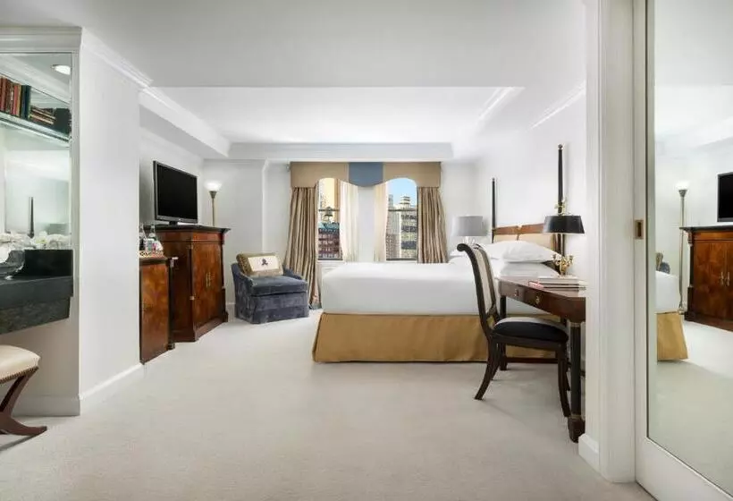 Fotos del hotel Michelangelo:  24