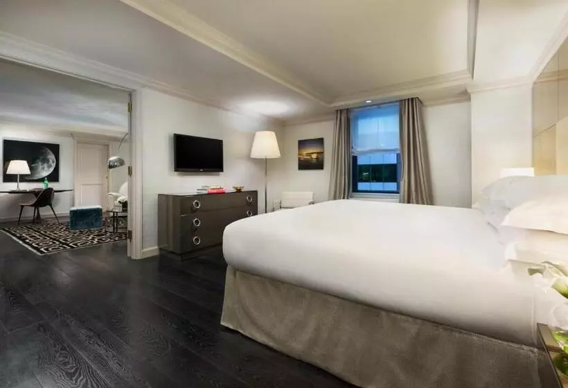 Fotos del hotel Michelangelo:  17